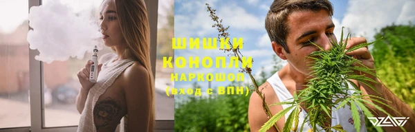 молекула духа Белокуриха