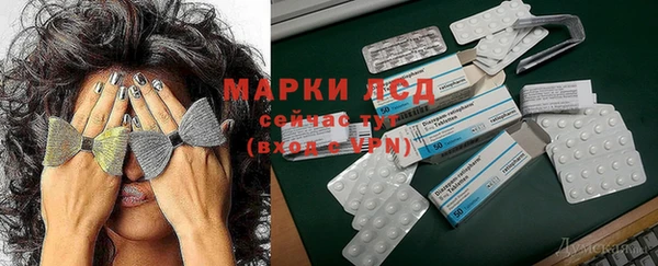 гидра Верхний Тагил