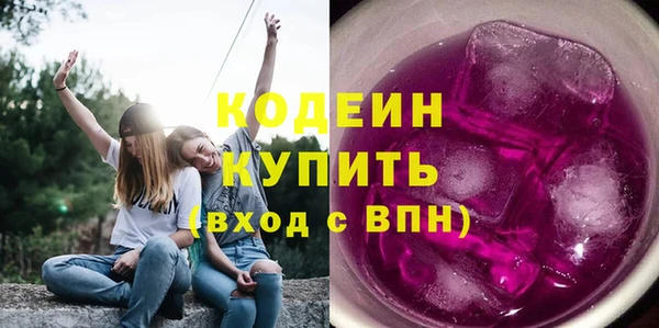 гидра Верхний Тагил