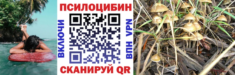 даркнет формула  Гулькевичи  Галлюциногенные грибы Psilocybe  где купить наркотик 