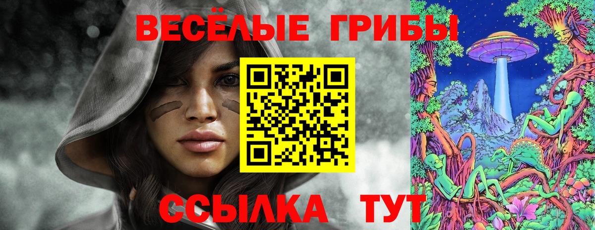 Галлюциногенные грибы Psilocybe Гулькевичи