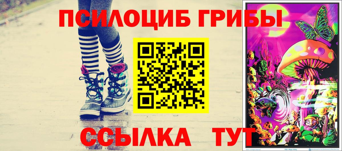 что такое   Псилоцибиновые грибы Psilocybine cubensis  Гулькевичи  Псилоцибиновые грибы MAGIC MUSHROOMS 